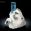 Aquamarine with Schorl Spray from Pakistan - image 2