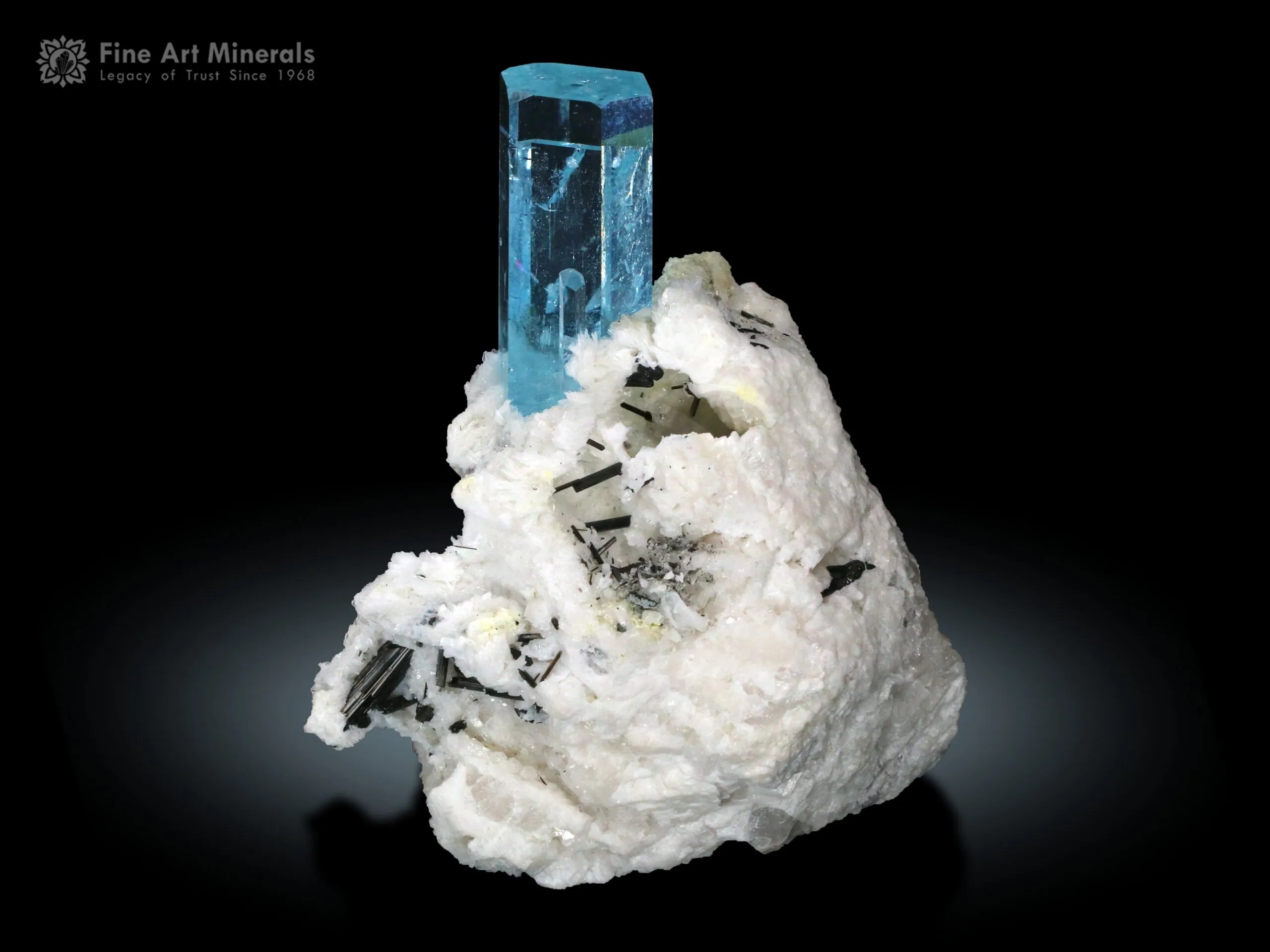 Aquamarine with Schorl Spray from Pakistan - image 2