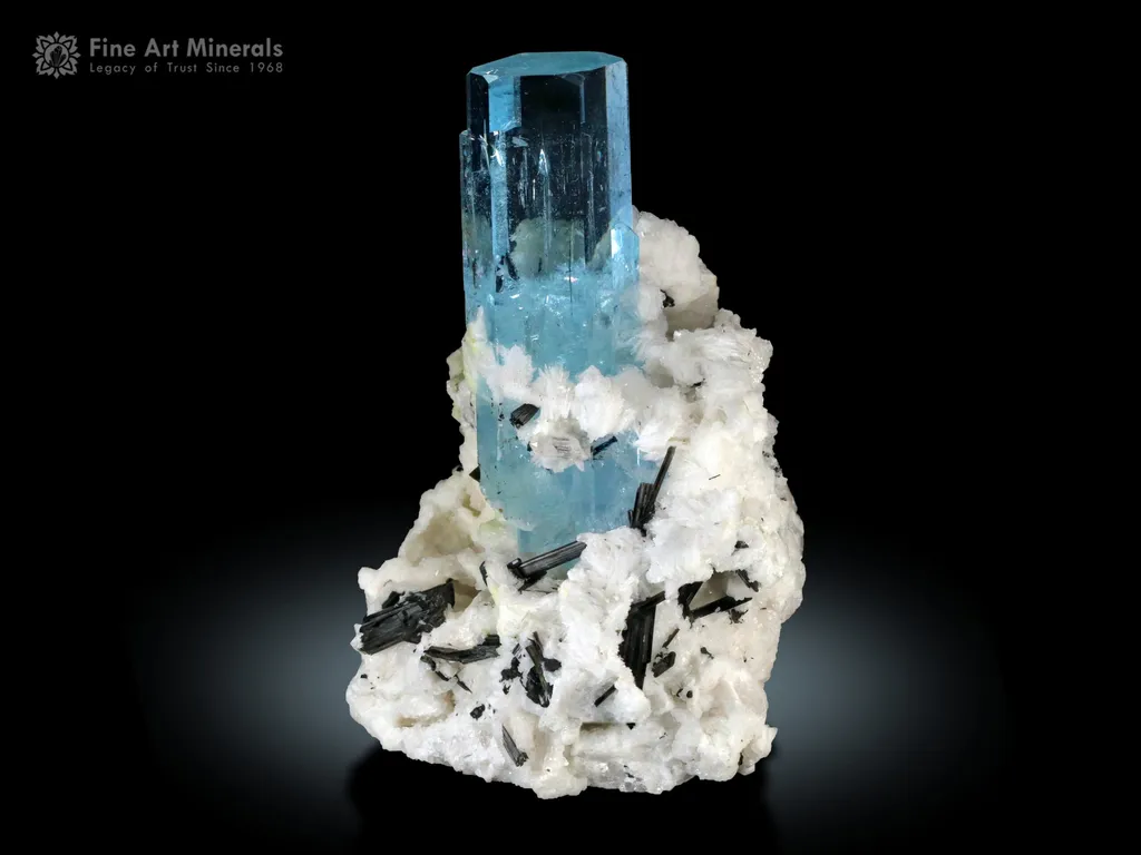 Aquamarine with Schorl Spray from Pakistan - image 4