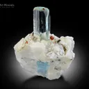 Aquamarine with Spessartine and Albite - image 2