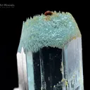 Aquamarine with Spessartine and Albite - image 5