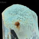 Aquamarine with Spessartine and Albite - image 4