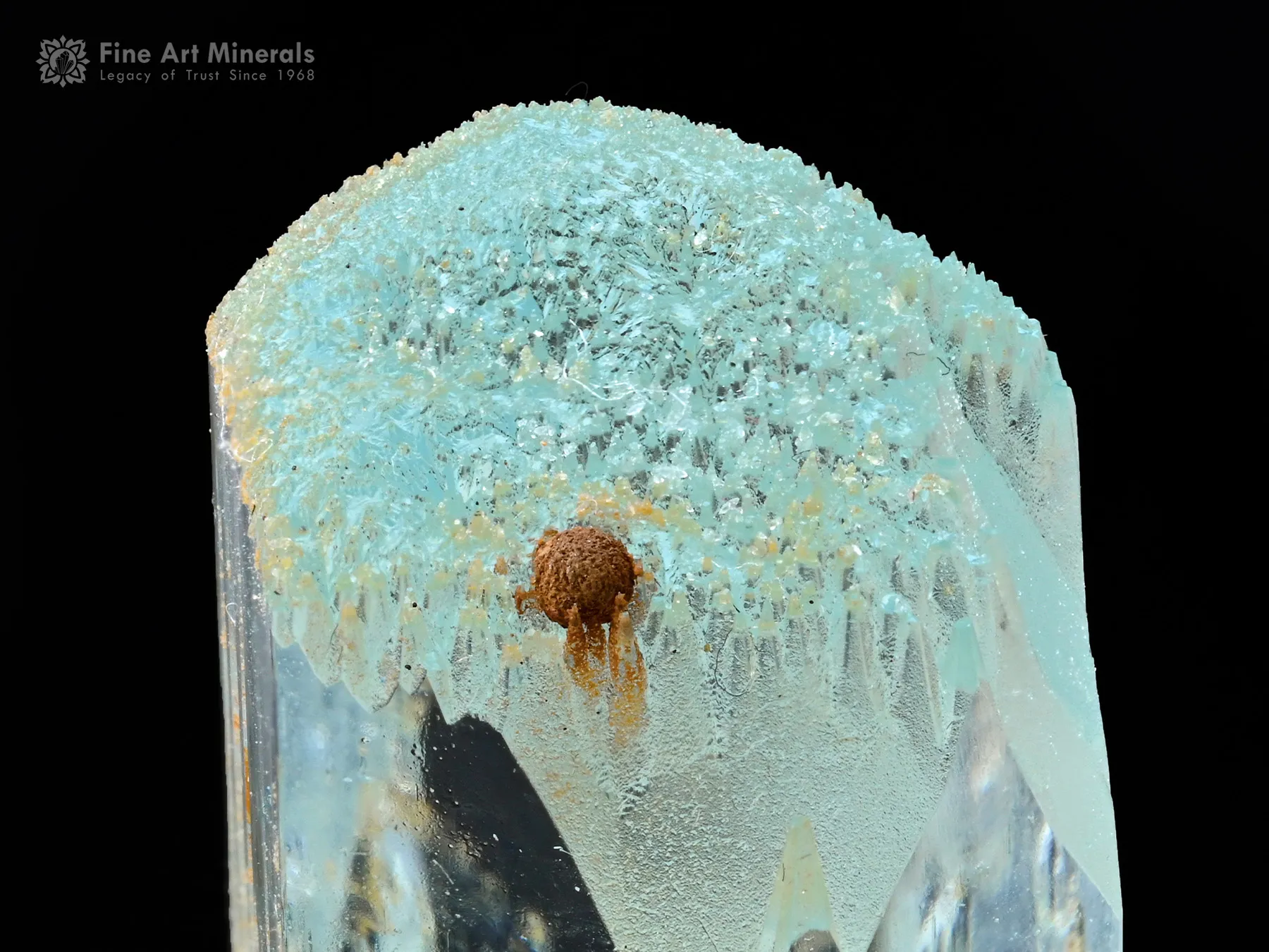 Aquamarine with Spessartine and Albite - image 4