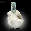 Aquamarine with Spessartine and Albite - image 3