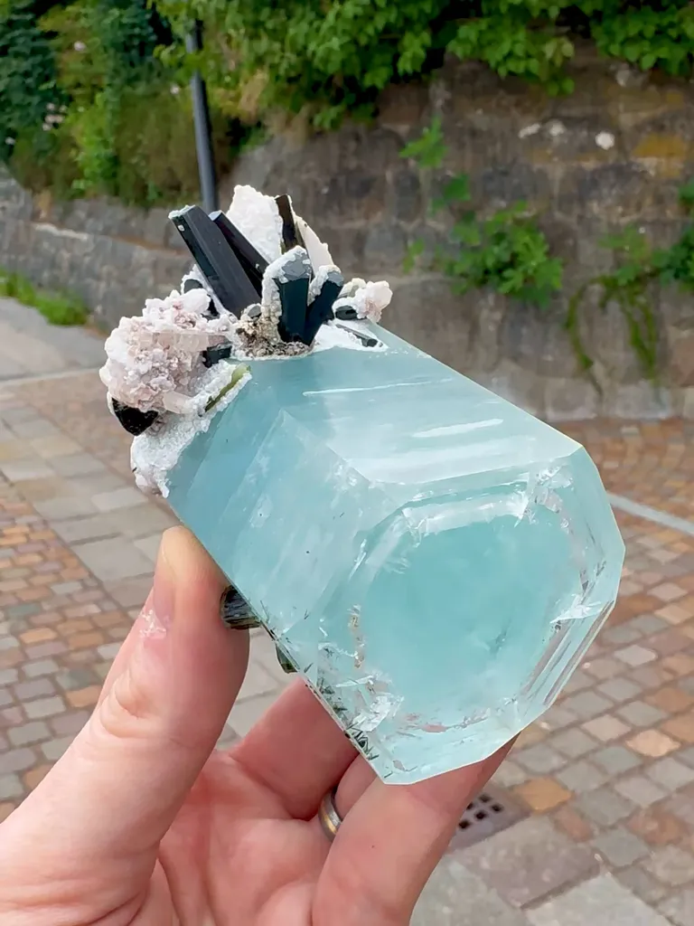 specimen video