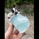 Aquamarine with Tourmaline and Apatite from Pakistan - image 2