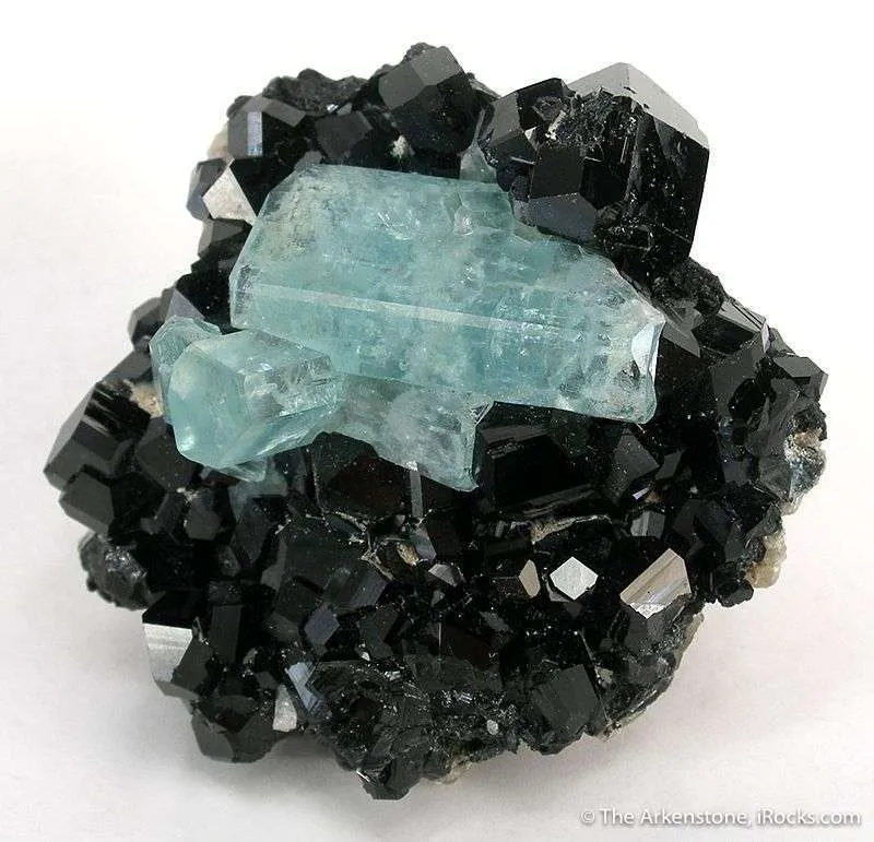 Aquamarines on Schorl image