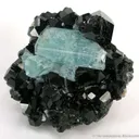 Aquamarines on Schorl - image 1