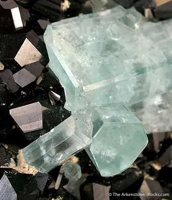Aquamarines on Schorl - image 3