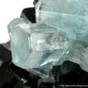 Aquamarines on Schorl - image 2