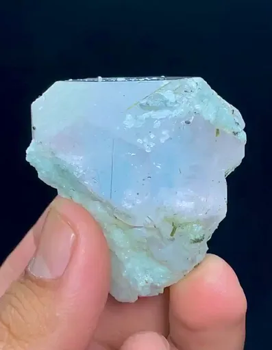 specimen video