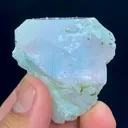 specimen video