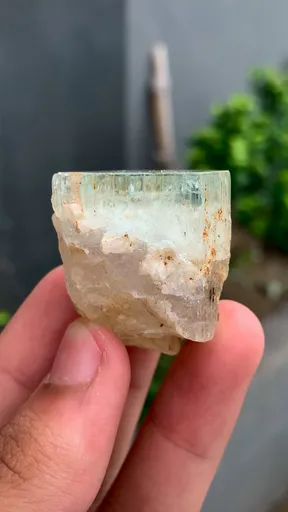 specimen video
