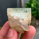 specimen video