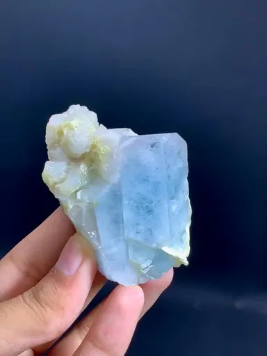 specimen video