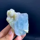 specimen video