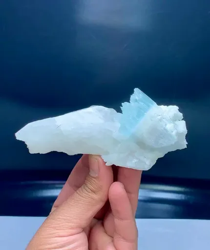 specimen video