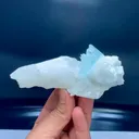 specimen video