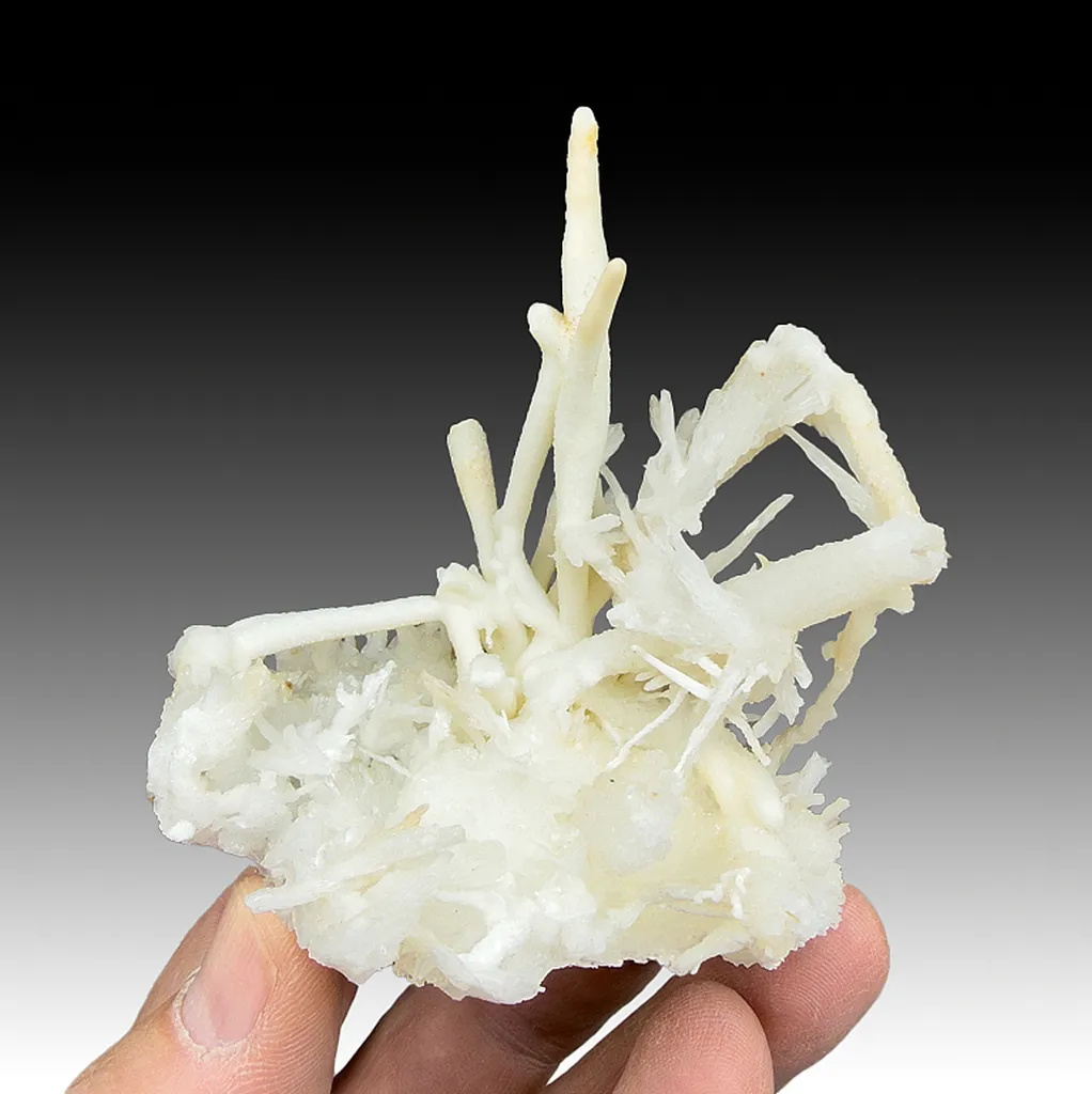 Aragonite image