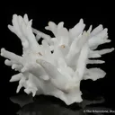 Aragonite - image 6