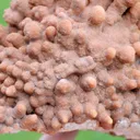 Aragonite 1280 grams - Lamalou-les-Bains, Béziers, Hérault, Occitanie, France - image 4