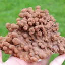 Aragonite 1280 grams - Lamalou-les-Bains, Béziers, Hérault, Occitanie, France - image 1