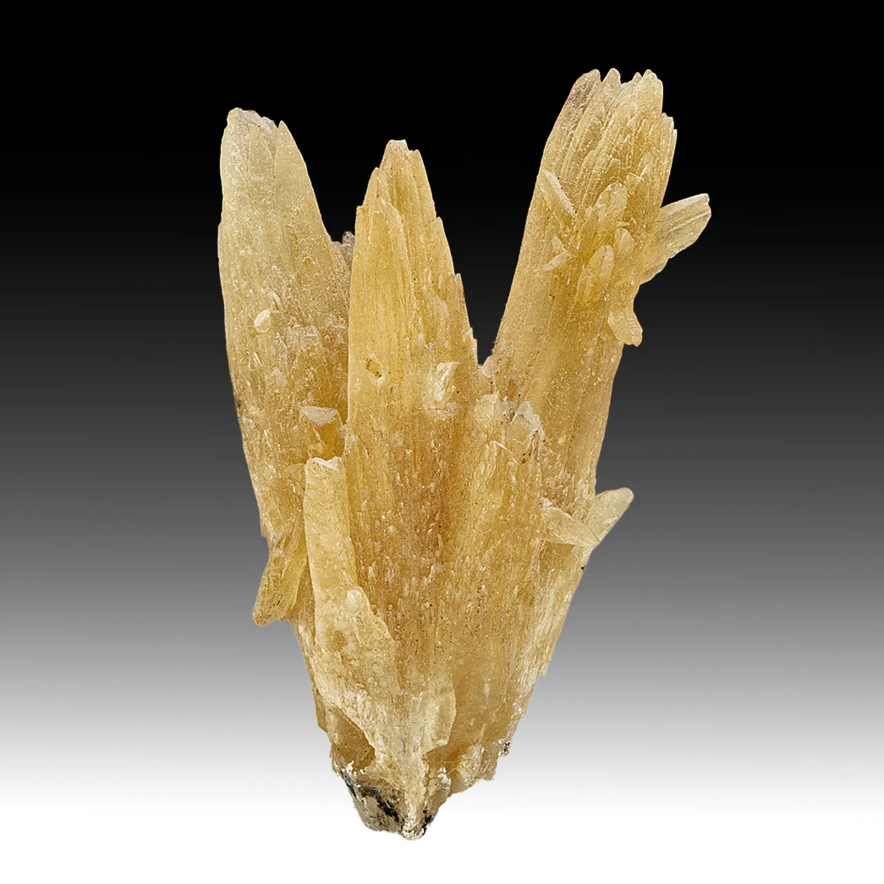 Aragonite - image 1
