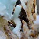 Aragonite 2305 grams - Profunda Mine, Cármenes, León, Castile and Leon, Spain - image 10