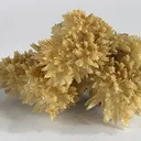 Aragonite - image 2