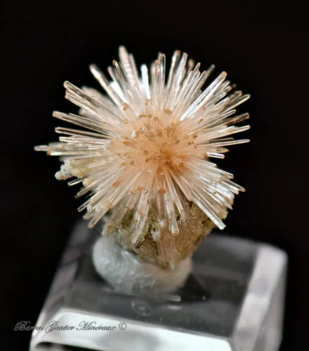 Aragonite image
