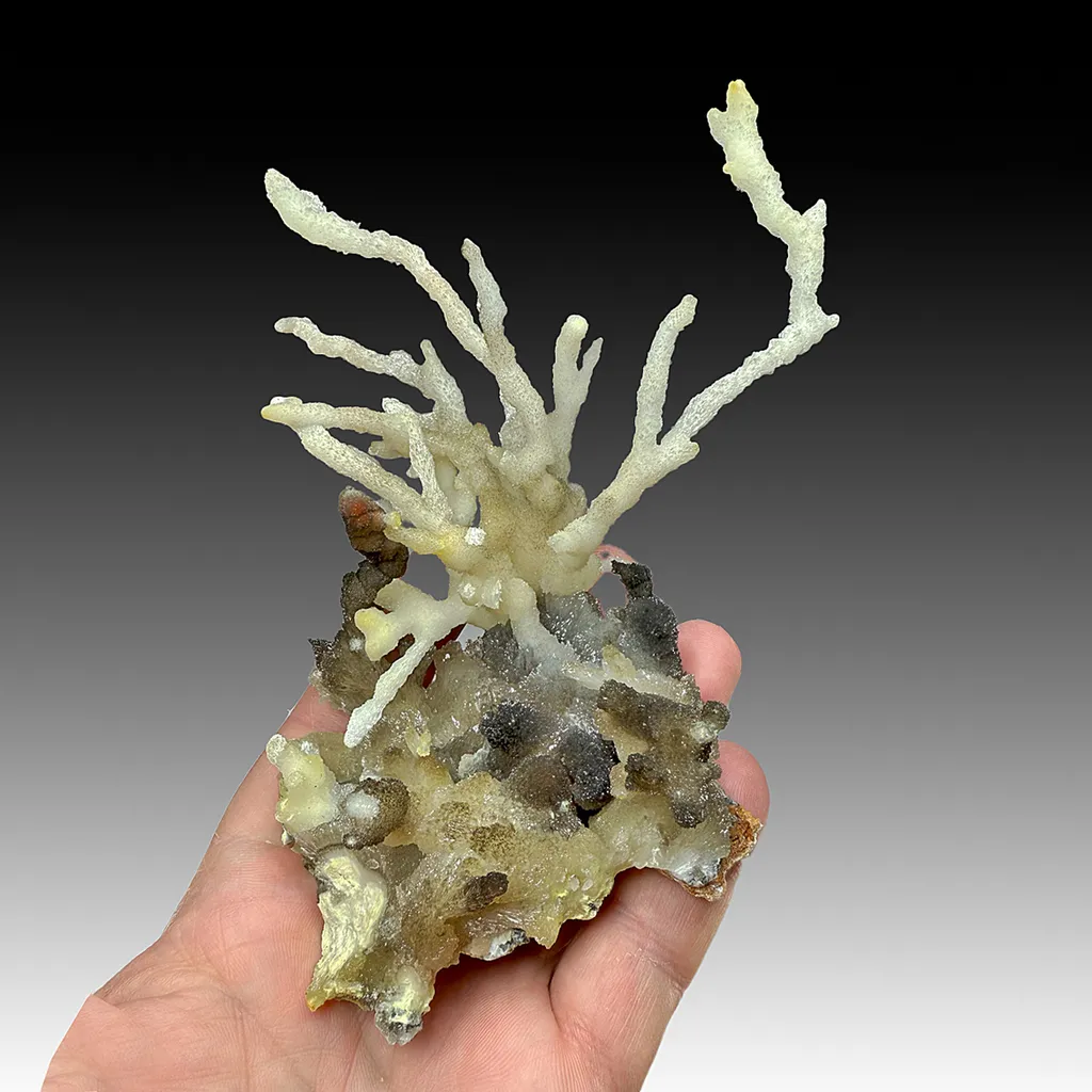 Aragonite image