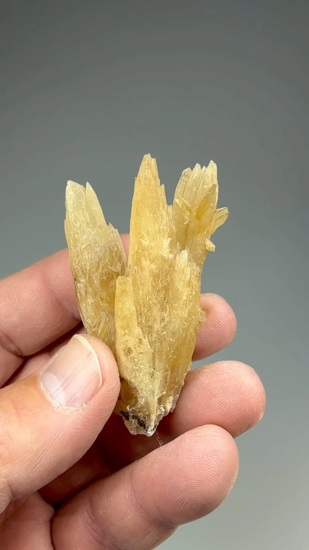 Aragonite - image 2