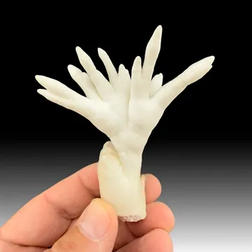 Aragonite