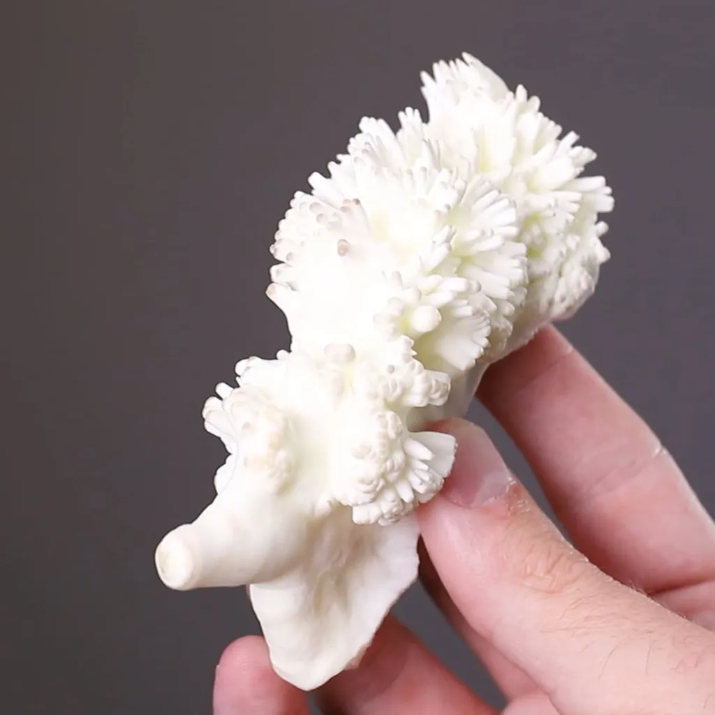 Aragonite - image 2