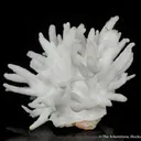 Aragonite - image 1