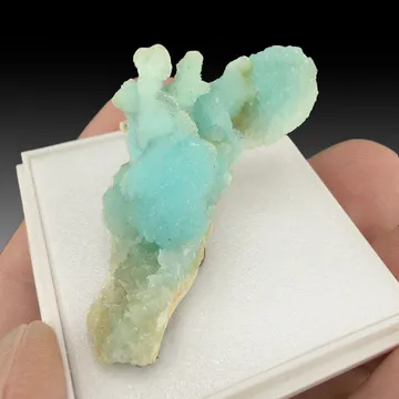 Aragonite