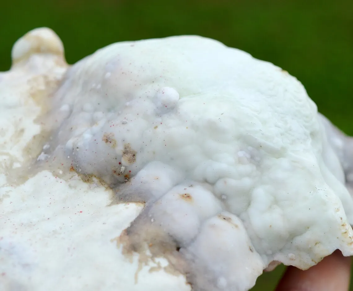 Aragonite 730 grams - Lead mines, Altenberg, Ste Marie-aux-Mines, Haut-Rhin, Alsace, France - image 3