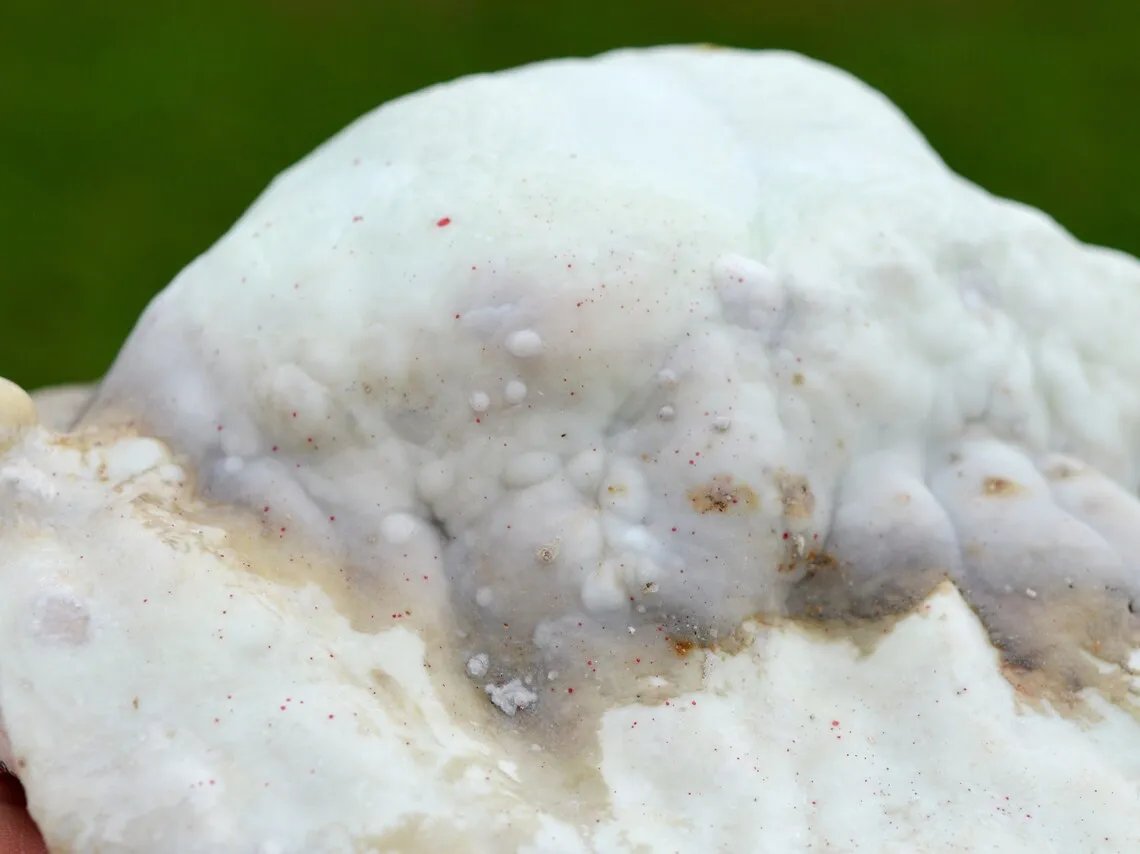 Aragonite 730 grams - Lead mines, Altenberg, Ste Marie-aux-Mines, Haut-Rhin, Alsace, France - image 5