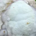 Aragonite 730 grams - Lead mines, Altenberg, Ste Marie-aux-Mines, Haut-Rhin, Alsace, France - image 2