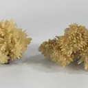Aragonite - image 1