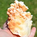 Aragonite 937 grams - Mibladen mining district, Midelt Province, Drâa-Tafilalet Region, Morocco - image 2