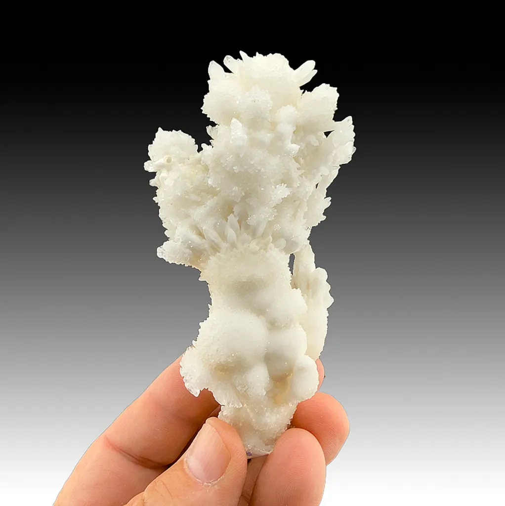 Aragonite image