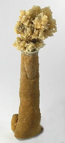 Aragonite, Calcite image