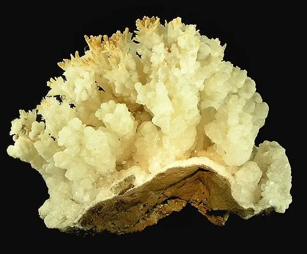 Aragonite, Calcite image