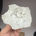 Aragonite (cave pearls) - image 2