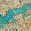 Aragonite, Chalcophyllite - image 2