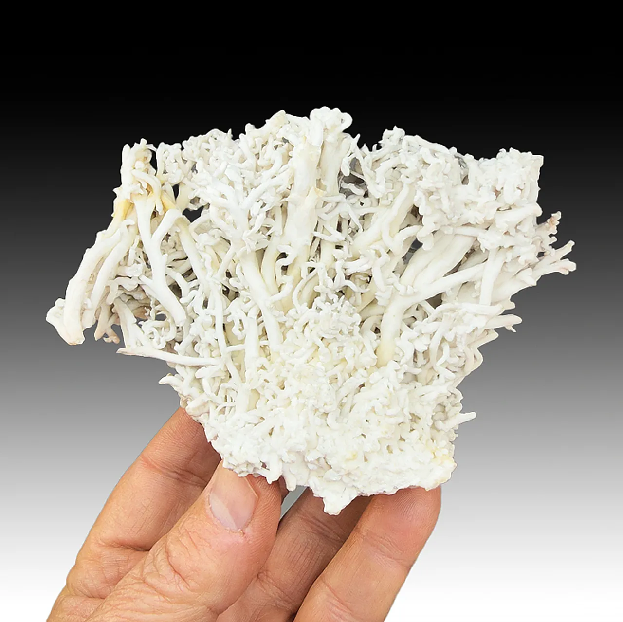 Aragonite - image 1