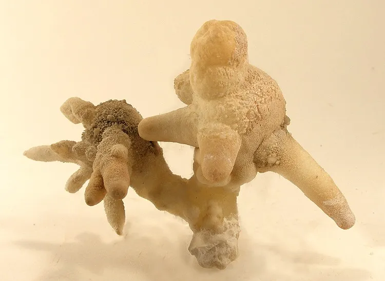 Aragonite image