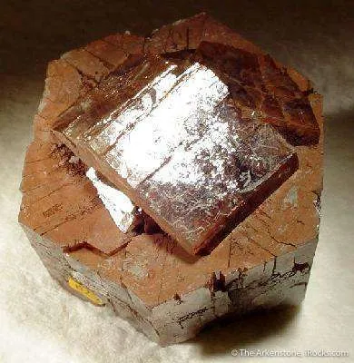 Aragonite (Floater) - image 2