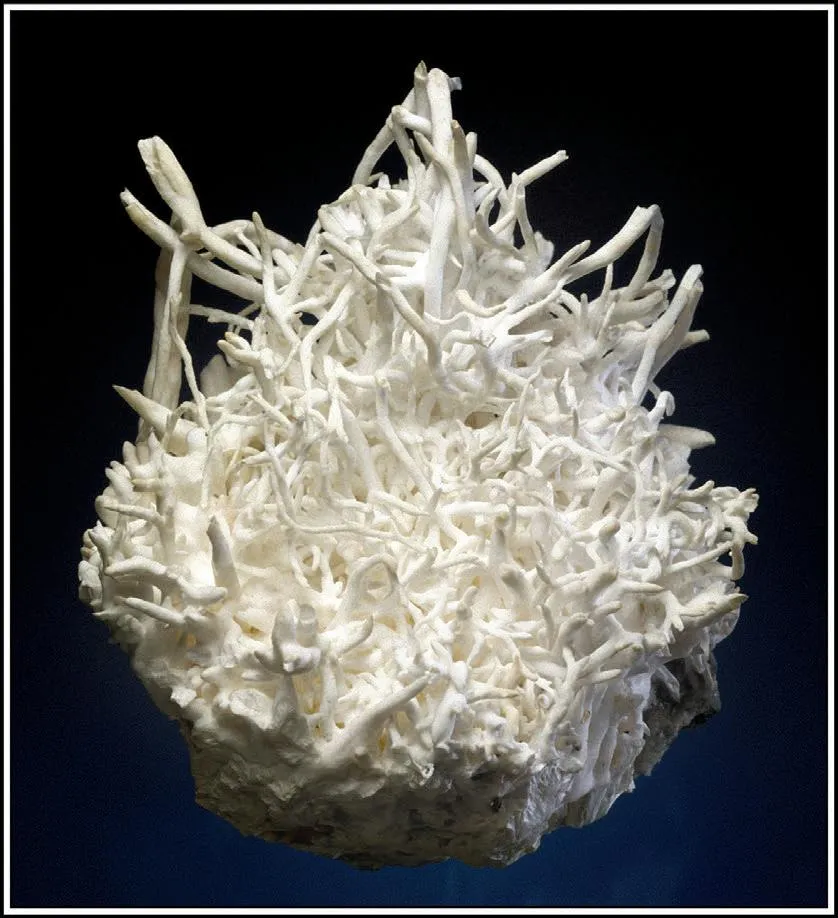 Aragonite (“flos ferri”) image